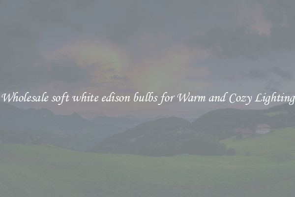 Wholesale soft white edison bulbs for Warm and Cozy Lighting