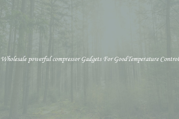 Wholesale powerful compressor Gadgets For GoodTemperature Control
