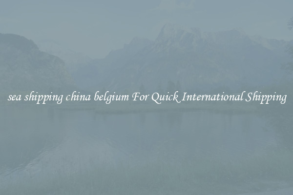 sea shipping china belgium For Quick International Shipping