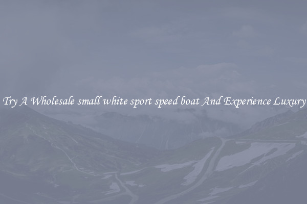 Try A Wholesale small white sport speed boat And Experience Luxury