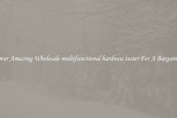 Discover Amazing Wholesale multifunctional hardness tester For A Bargain Price