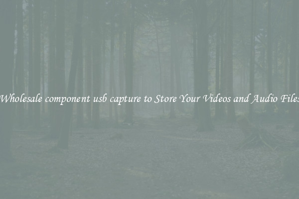 Wholesale component usb capture to Store Your Videos and Audio Files