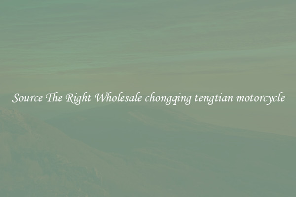 Source The Right Wholesale chongqing tengtian motorcycle