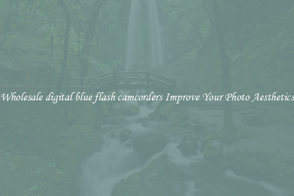 Wholesale digital blue flash camcorders Improve Your Photo Aesthetics