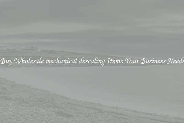 Buy Wholesale mechanical descaling Items Your Business Needs