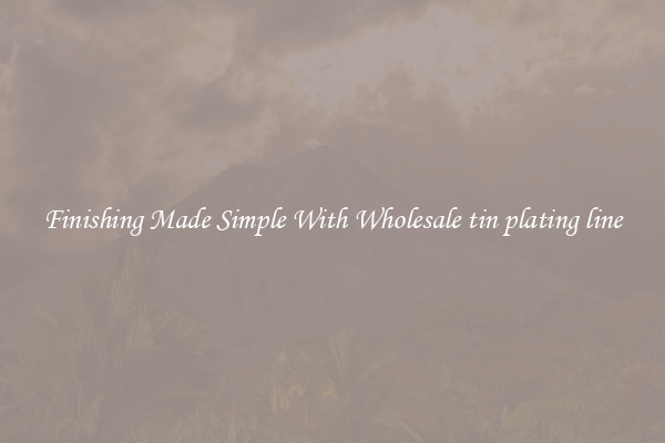Finishing Made Simple With Wholesale tin plating line
