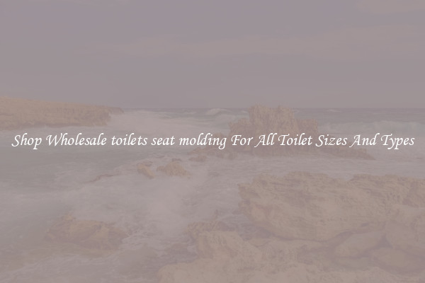 Shop Wholesale toilets seat molding For All Toilet Sizes And Types