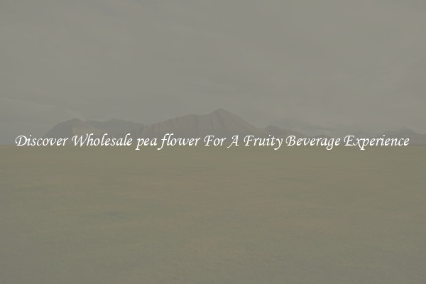 Discover Wholesale pea flower For A Fruity Beverage Experience 