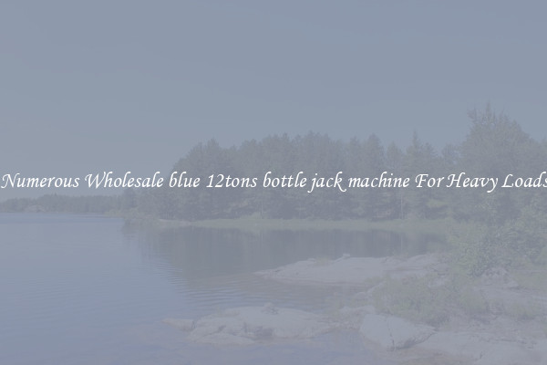 Numerous Wholesale blue 12tons bottle jack machine For Heavy Loads