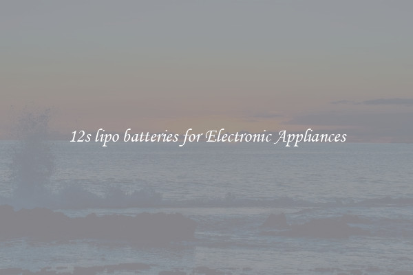 12s lipo batteries for Electronic Appliances