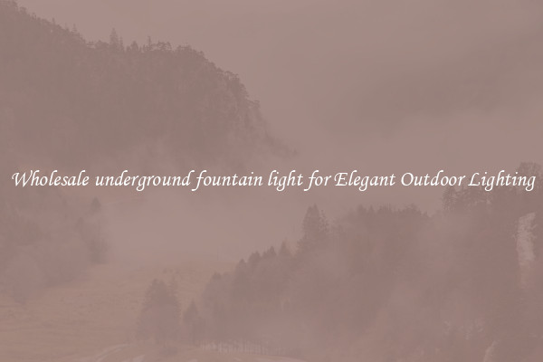 Wholesale underground fountain light for Elegant Outdoor Lighting