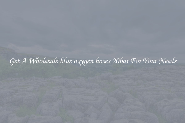 Get A Wholesale blue oxygen hoses 20bar For Your Needs