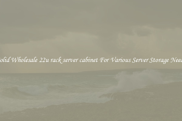 Solid Wholesale 22u rack server cabinet For Various Server Storage Needs