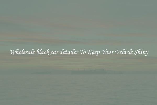 Wholesale black car detailer To Keep Your Vehicle Shiny