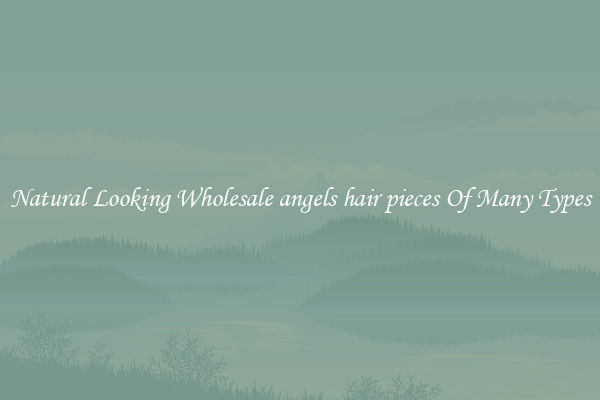 Natural Looking Wholesale angels hair pieces Of Many Types