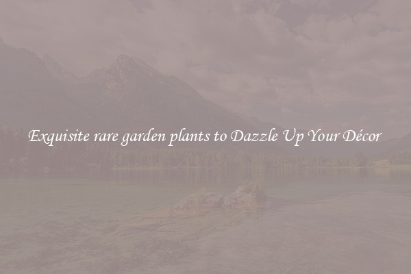 Exquisite rare garden plants to Dazzle Up Your Décor 