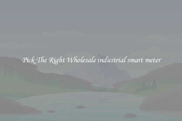 Pick The Right Wholesale industrial smart meter